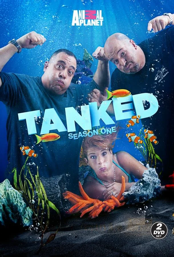 ТВ шоу Аквариумный бизнес 2011 смотреть онлайн бесплатно в хорошем качестве